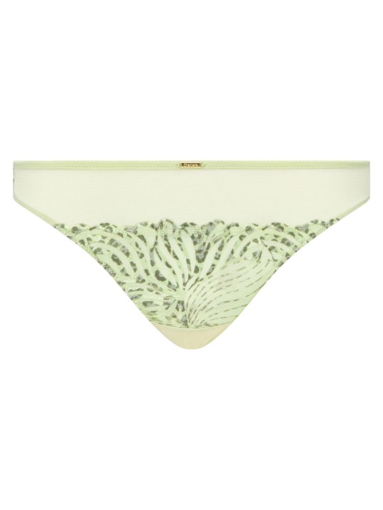  C58 WILD PISTAC