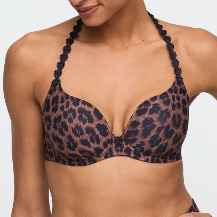 120826-FAV FAV Fauve