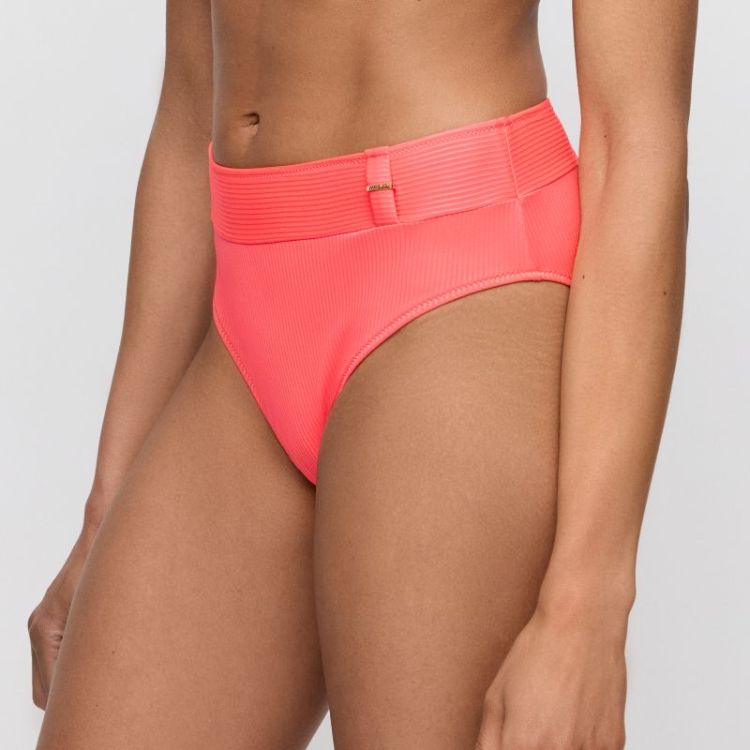CASSIE NEF Neon Fiesta