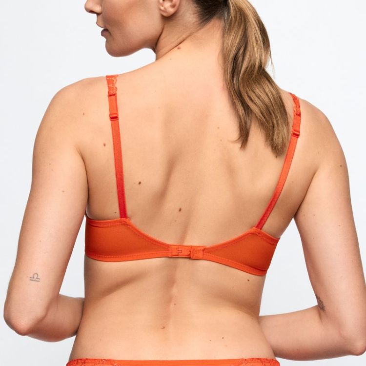 CERINA CLM clementine