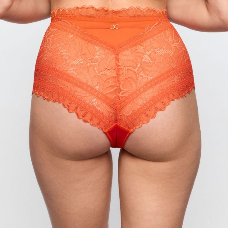 CERINA CLM clementine
